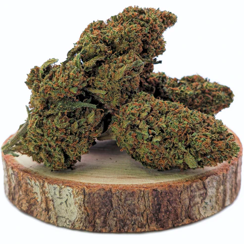 unkraut entfernen unkraut entfernen