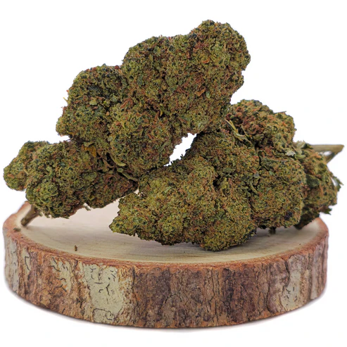 unkraut jäten unkraut jäten