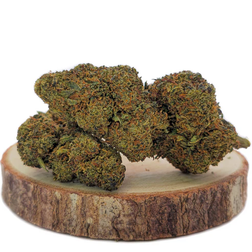 unkraut vernichten unkraut vernichten